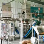 Two units of Millet automatic packaging machine complete installation and debugging at our client factory