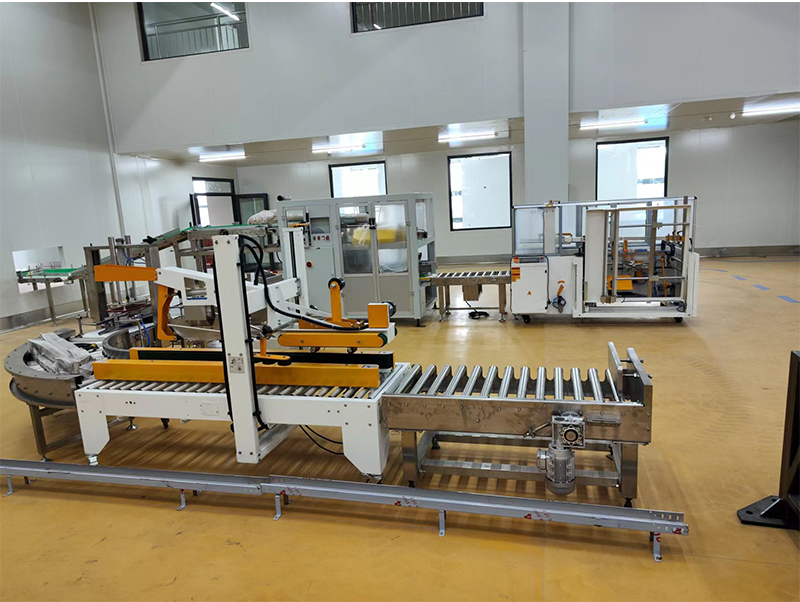 automatic packing machine forzen food