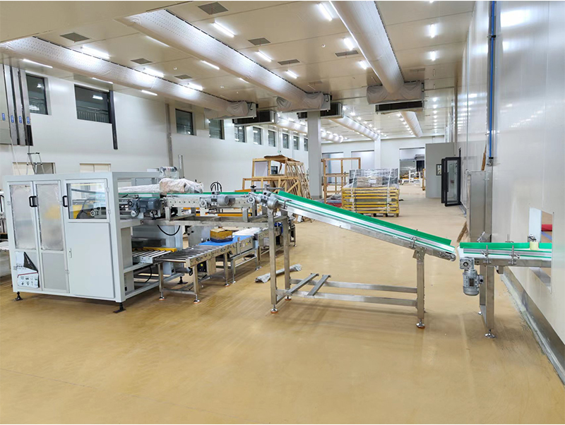 automatic packing machine forzen food