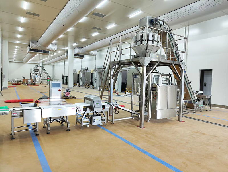 automatic packing machine forzen food