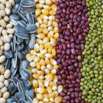 Automatisk frøpakkemaskin